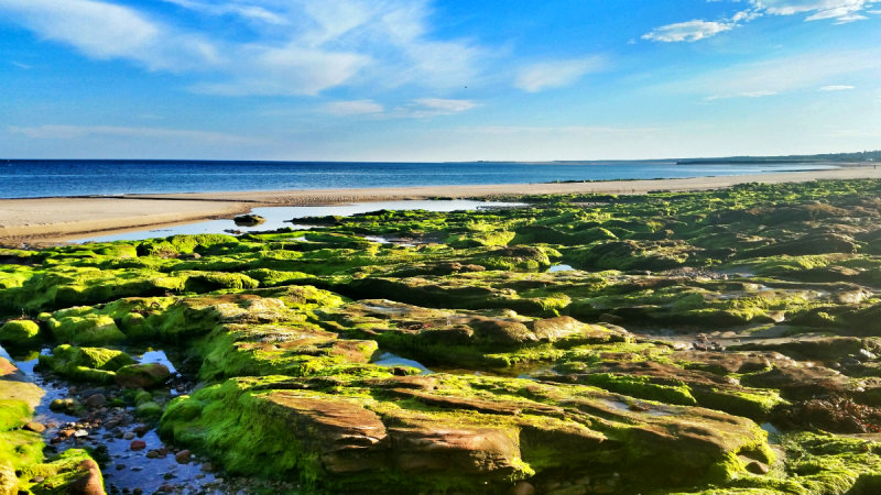 Nairn Beach 