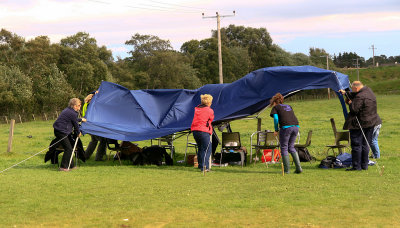 Carve Carrbridge 2012