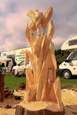 Carve Carrbridge 2012