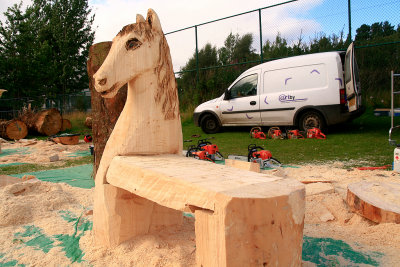 Carve Carrbridge 2012