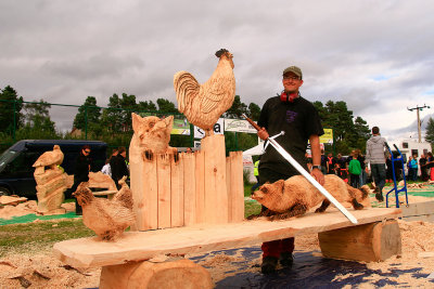 Carve Carrbridge 2012