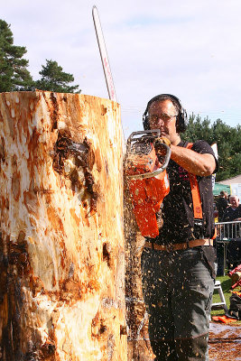 Carve Carrbridge 31st Aug 2013