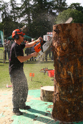 Carve Carrbridge 31st Aug 2013