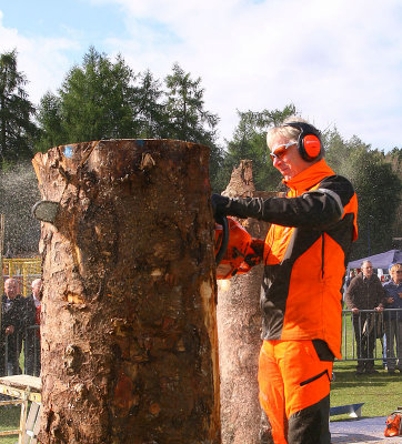 Carve Carrbridge 31st Aug 2013