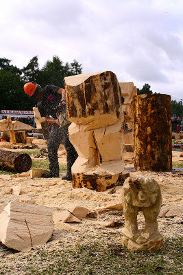 Carve Carrbridge 31st Aug 2013