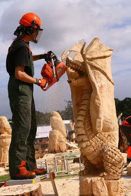 Carve Carrbridge 31st Aug 2013