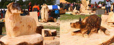 Carve Carrbridge 31st Aug 2013