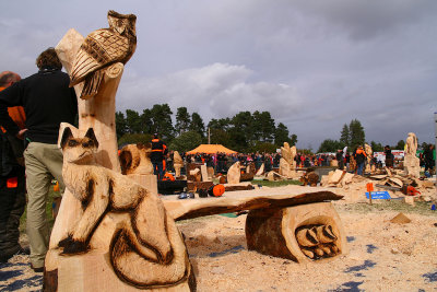 Carve Carrbridge 31st Aug 2013