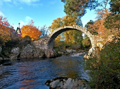 autumn Bridge