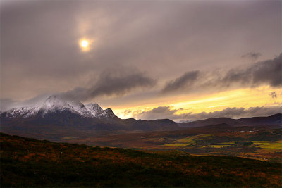 Ben Loyal