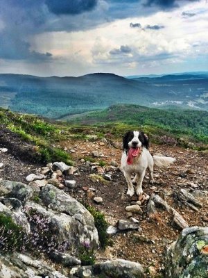 Eilein on Craigellachie