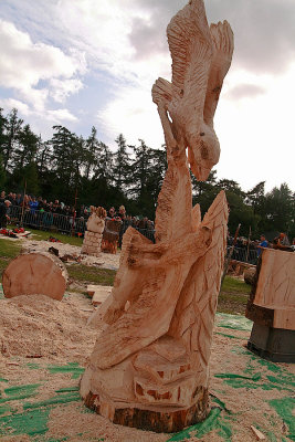 Pete Bowsher - Carve Carrbridge Winner 2015