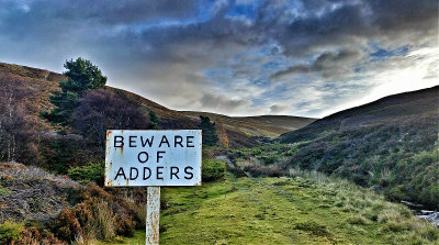 Beware of Adders