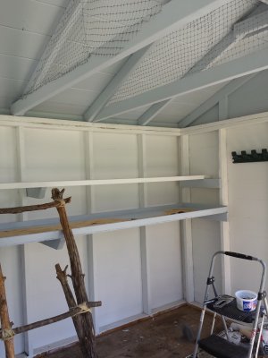homemade ladder in progress