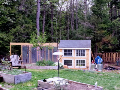 Coop and run in progress