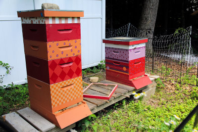 Apiary