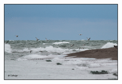  la Pointe / At the tip