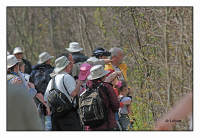 Ornithologues / Birders
