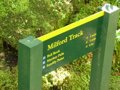 2016 Milford Track  - 301
