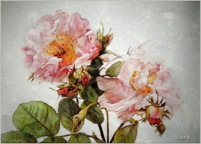 Botanical Roses.jpg