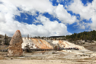 4656 Liberty Cap a dormant hot spring cone.jpg