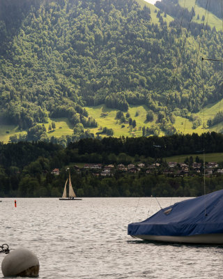 P1080168.jpg