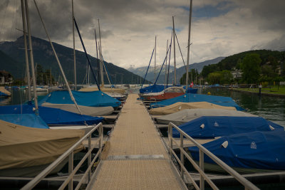 P1080174.jpg