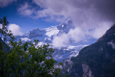 P1080247-2.jpg