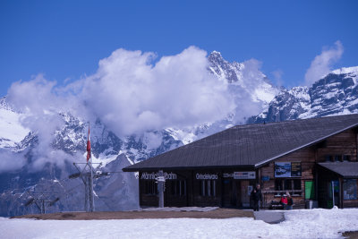 P1080336.jpg