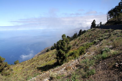 J14 - La Palma (sud et centre)