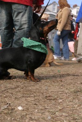 IMG_8338 (Large).JPG