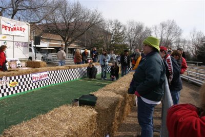 IMG_8384 (Large).JPG