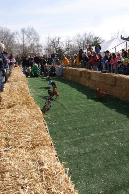 IMG_8438 (Large).JPG