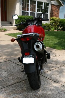 IMG_9342 (Large).JPG