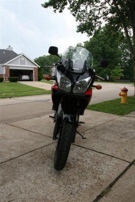 IMG_9346 (Large).JPG