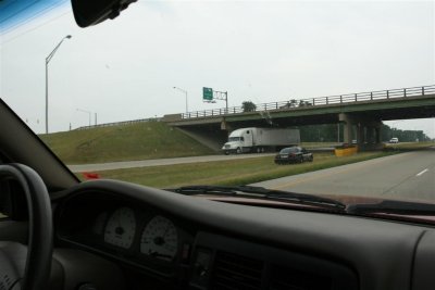 IMG_9849 (Large).JPG