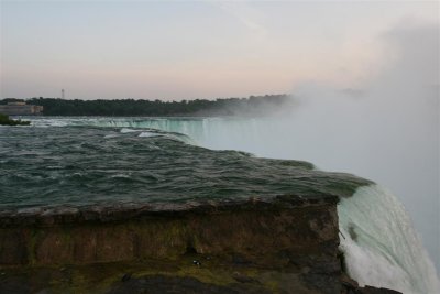 IMG_9829 (Large).JPG