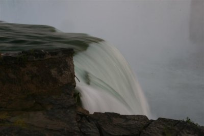 IMG_9833 (Large).JPG