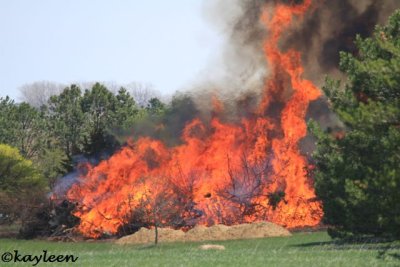Brush fire