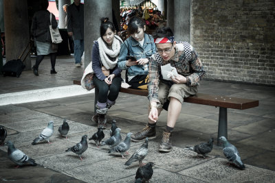Do NOT feed the pigeons