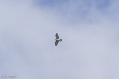 g9/10/741110/3/153083504.NBwE54eq.jpg