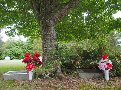 My husbands grandparents graves.