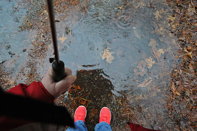 Not the best day for a walk.