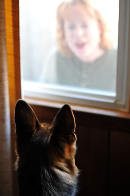 Watch-dog
