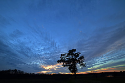 Farm & Fading Light