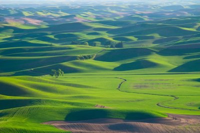 Palouse Washington State