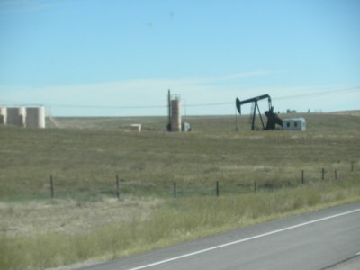 P8260199 (Custom).JPG