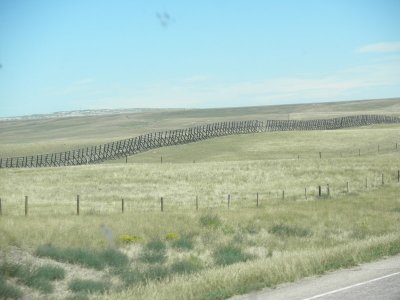 P8260204 (Custom).JPG