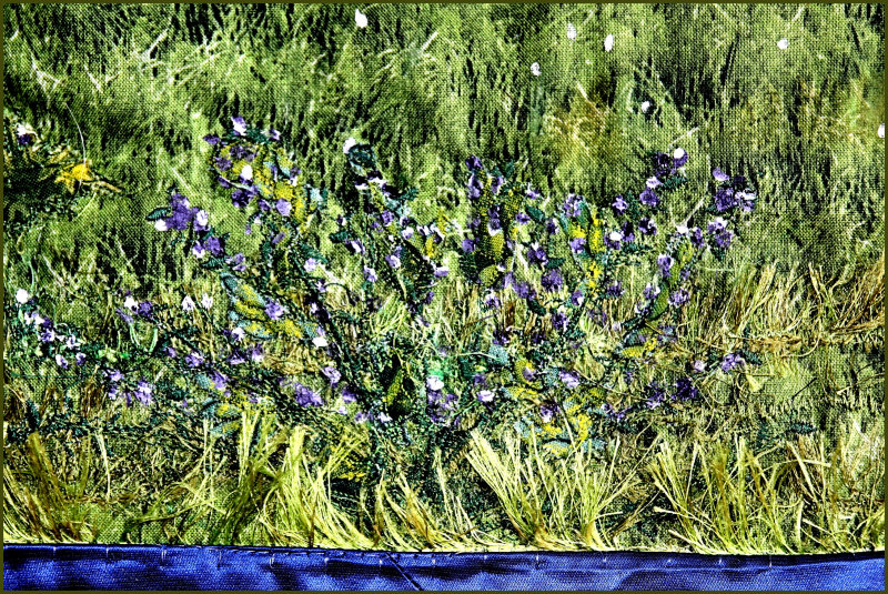 Detail of wild flowers and grass.jpg