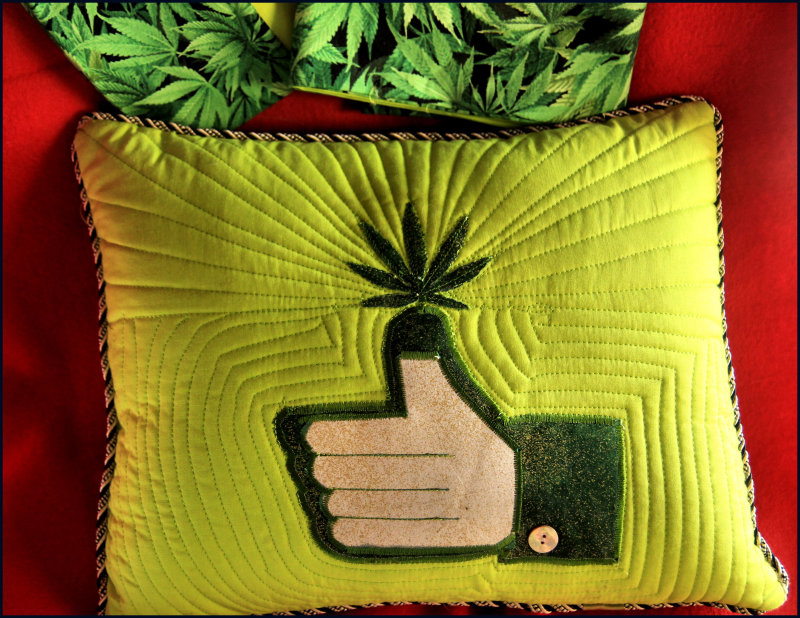 Pot pillow for Dennis with matching cases..jpg